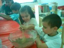 IMAG0043.JPG